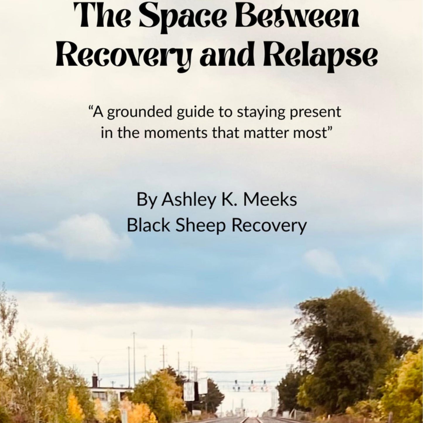 Addiction Recovery Workbook | Sobriety Reflection Guide (Digital PDF)